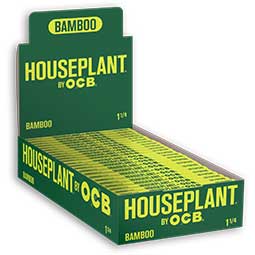 OCB Houseplant Bamboo 1.25 