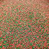 Sanding Sugar Christmas Mix Cupcake Sprinkles 8 lb Carton
